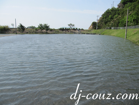 SeaSide2011-3